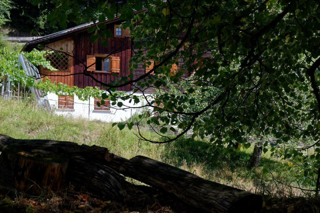 Landhaus Tenne Apartment Bartholomaeberg Exterior photo